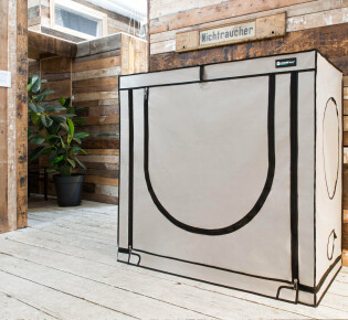 Что представляет собой гроубокс Homebox Ambient?