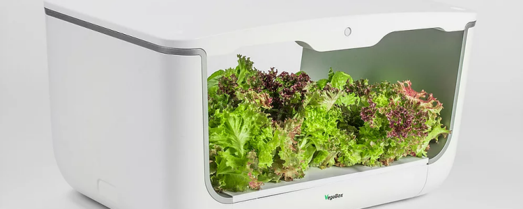 Как работает гидропонная система Vegebox?