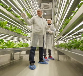Российская компания iFarm развивает вертикальное земледелие в Персидском заливе