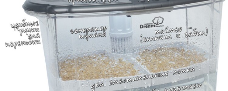 Как пользоваться проращивателем RawMid Dream Sprouter SDM-02?