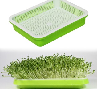 Как пользоваться проращивателем GreenArt?
