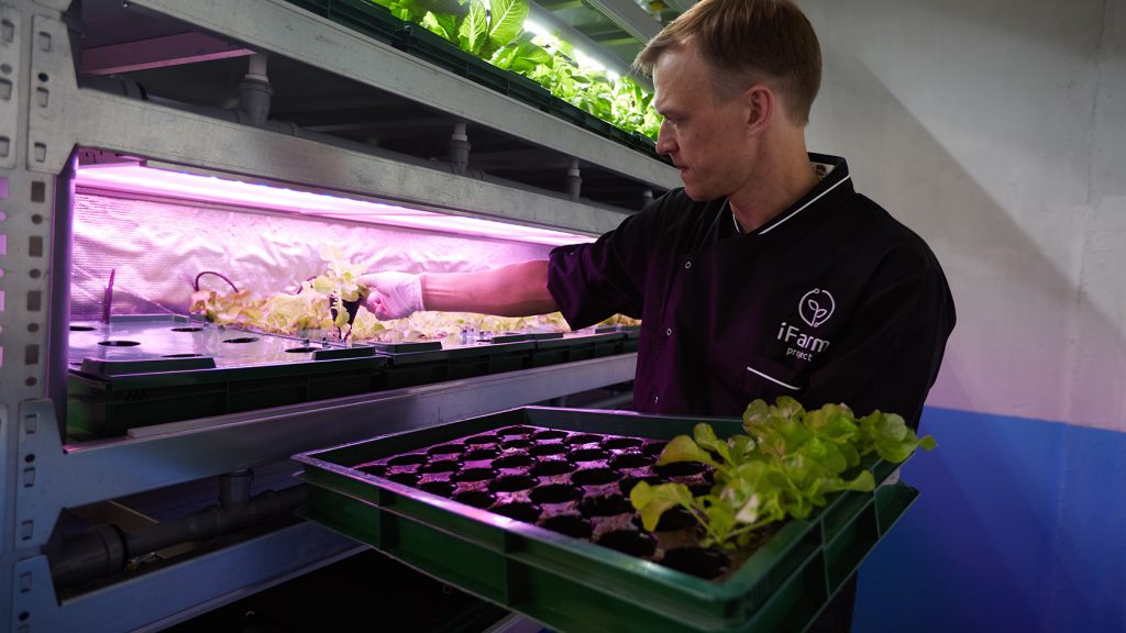 Вертикальная ферма iFarm